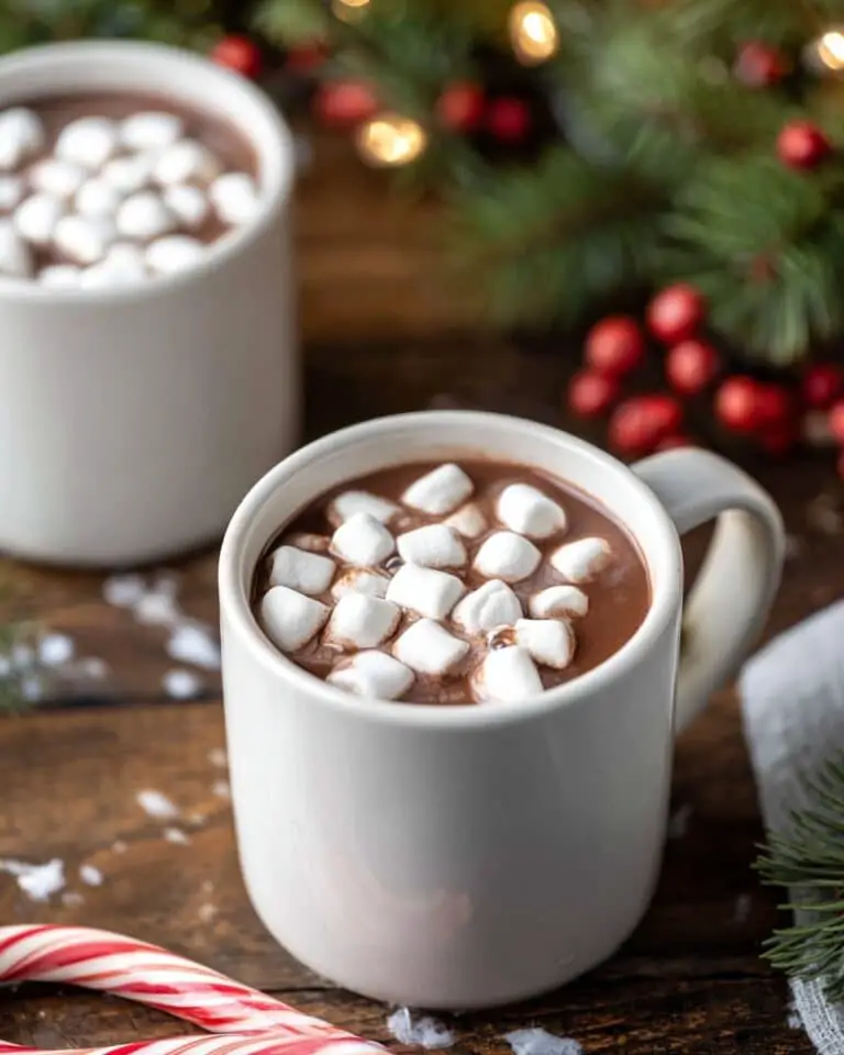 Easy Crockpot Hot Chocolate Recipe
